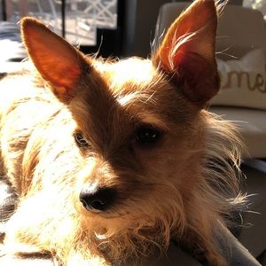 Meet your Posher, Alyson